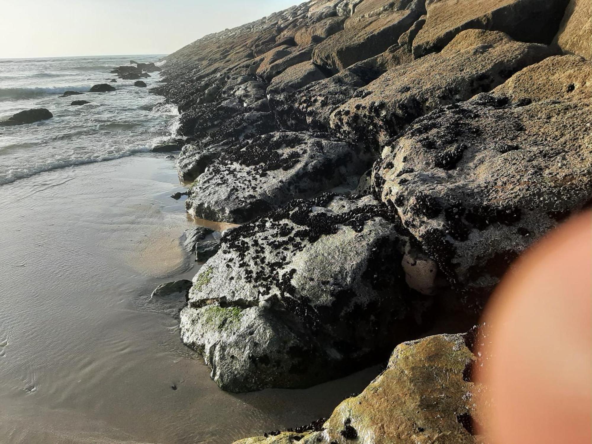 Appartamento Sol E Mar Esmoriz Esterno foto